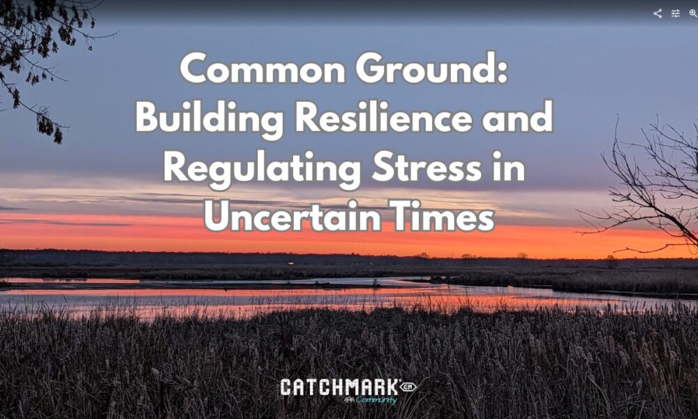 Common Ground: Building Resilience and Regulating Stress in Uncertain Times